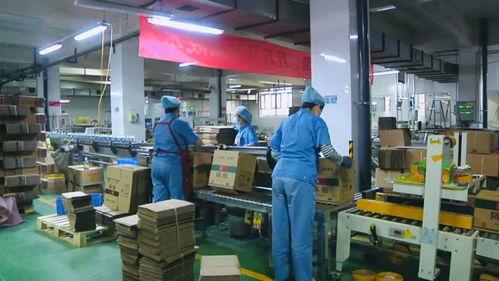 食品厂厂长爆料案例视频,揭秘食品安全背后的惊人真相  第3张 食品厂厂长爆料案例视频,揭秘食品安全背后的惊人真相  第3张