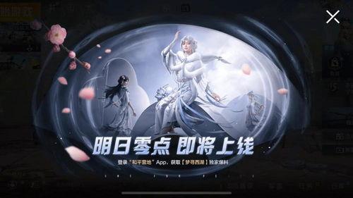 15秒新皮肤爆料视频,视觉盛宴,神秘英雄即将亮相  第2张 15秒新皮肤爆料视频,视觉盛宴,神秘英雄即将亮相  第2张