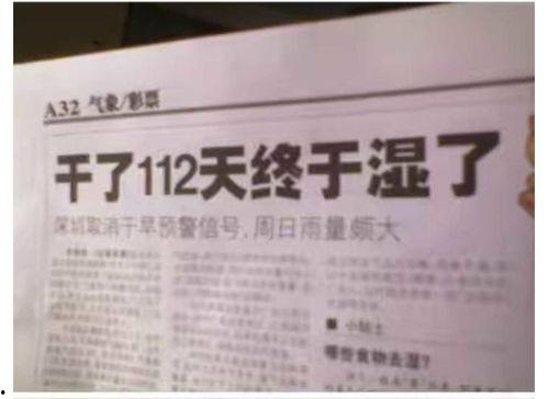 公益新闻爆料怎么写标题,聚焦社会热点,传递正能量