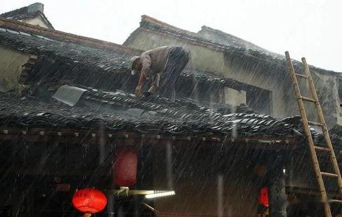 潮汕木屋爆料事件视频,揭秘当地传统民居现状  第3张 潮汕木屋爆料事件视频,揭秘当地传统民居现状  第3张